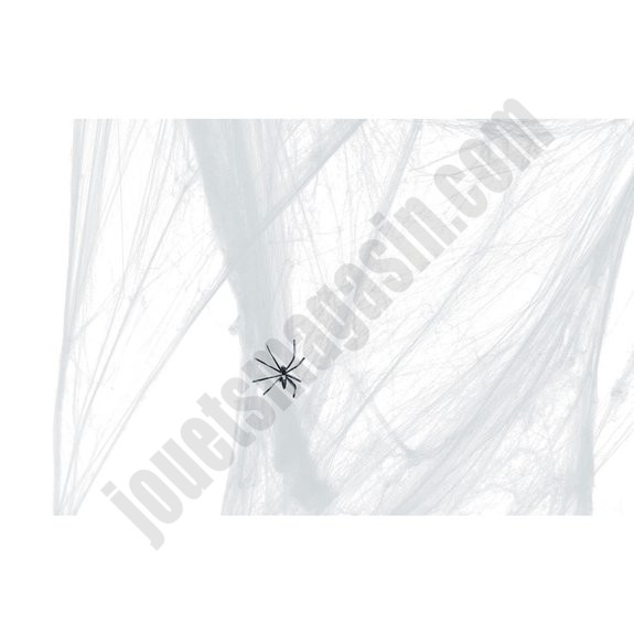 Toile d'araignée blanche - déstockage - -1