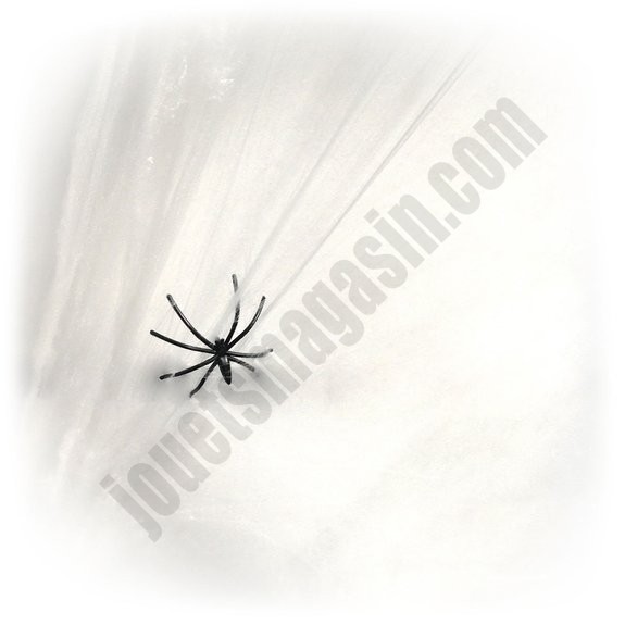 Toile d'araignée blanche - déstockage - -3