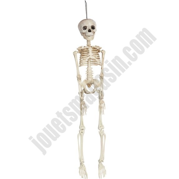 Squelette articulé 45 cm - déstockage - -0