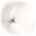 Toile d'araignée blanche - déstockage - 3