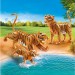 Couple de tigres avec bébé Playmobil Family Fun 70359 - déstockage - 1